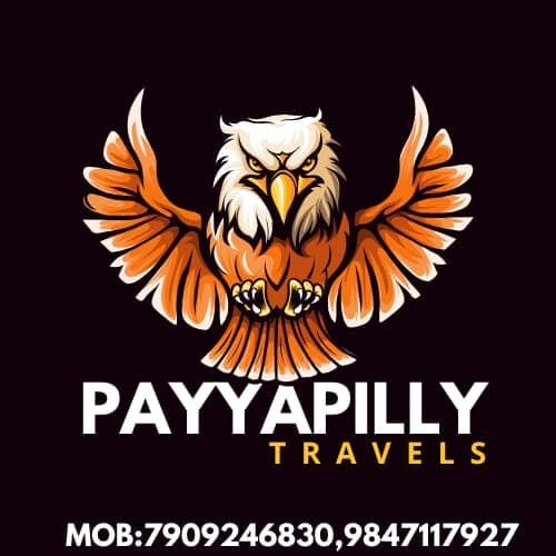 Payyapilly Travels
