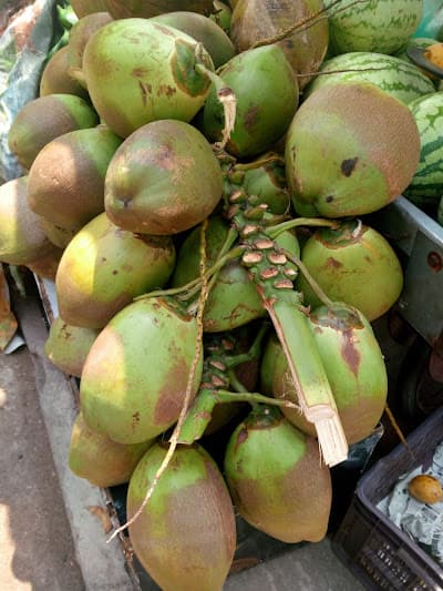 Suriya Coconut Shop