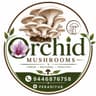 Orchid Tasty