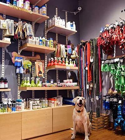 Royal Pets World