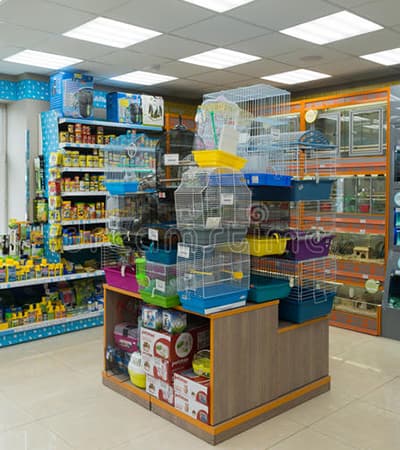 Live Exotics Pets & Aquarium Shop