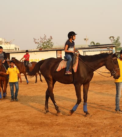 Horizon Horses