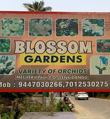 Blossom Garden