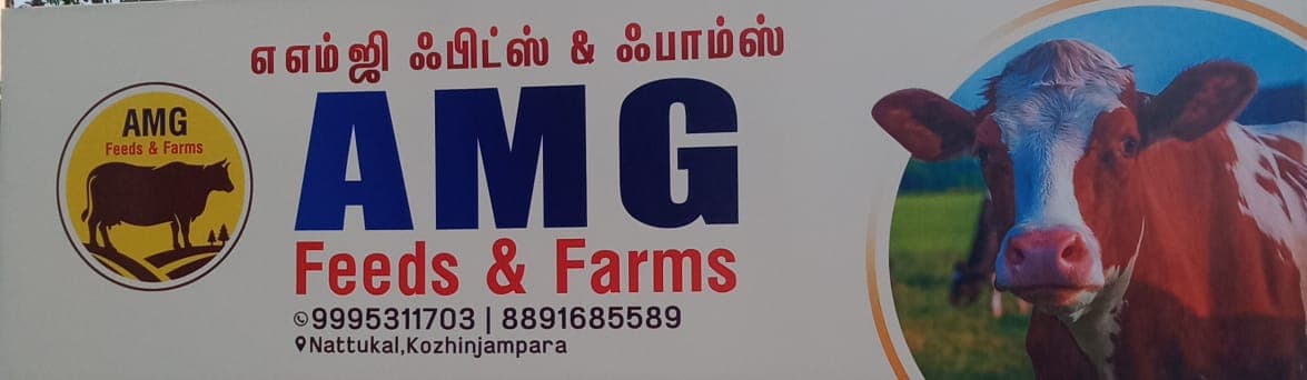 Amg Feeds and Farms