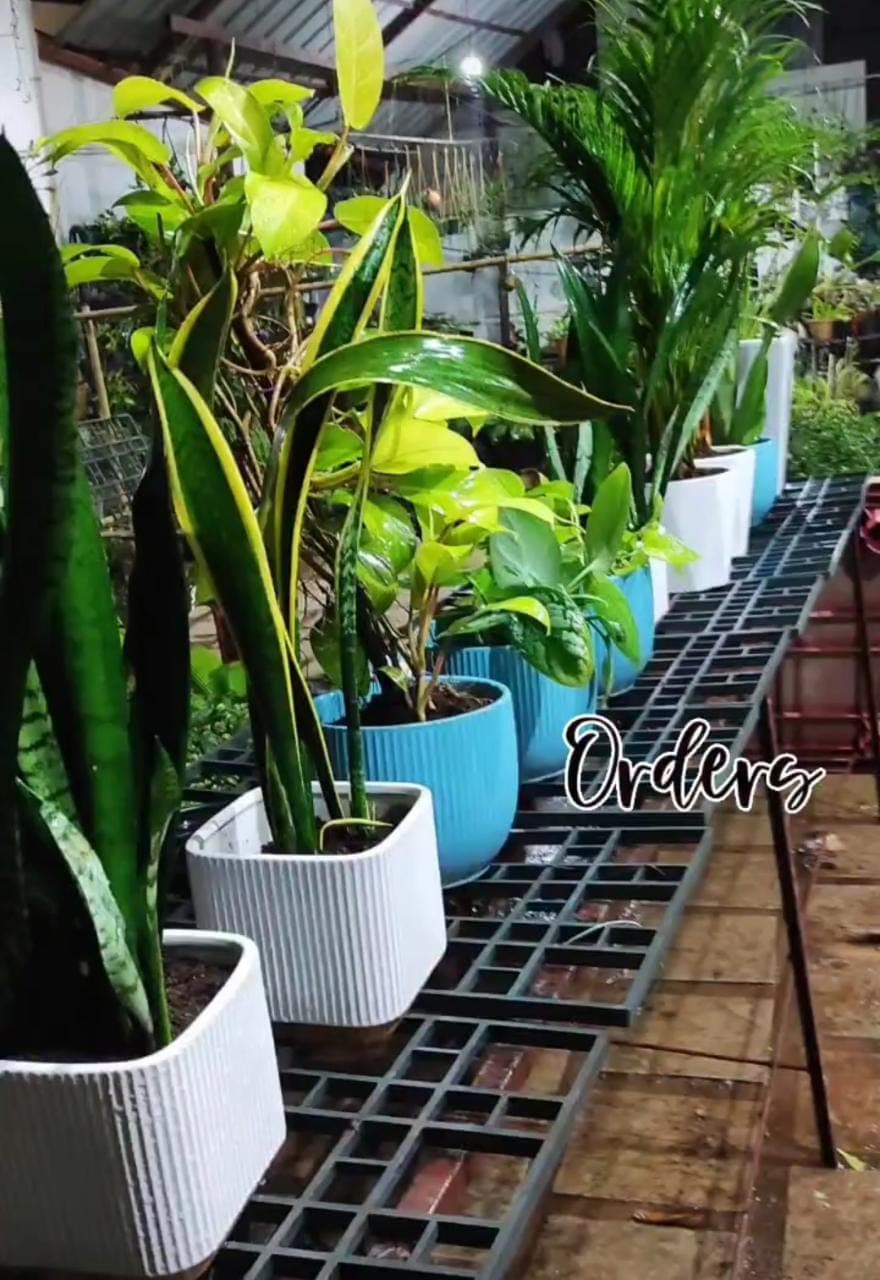 Puthusseriyil Green Concept