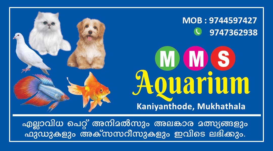 MMS Aquarium And Pet Shop