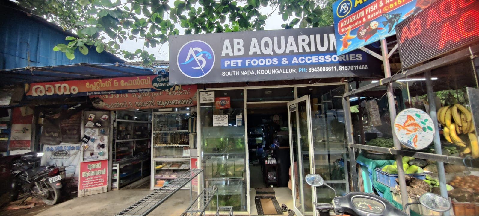 AB Aquarium