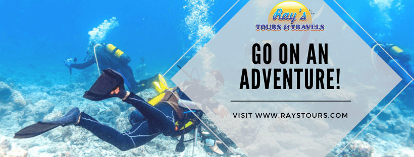 Rays tours & Travels