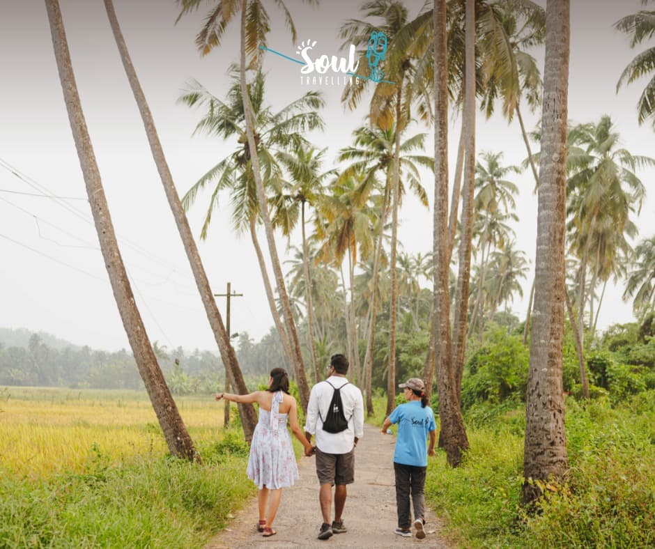 Soul Travelling Goa
