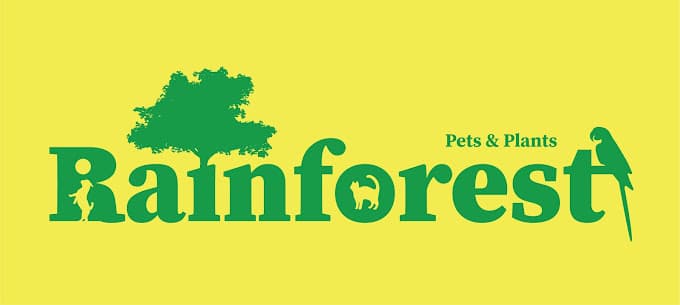 Rainforest Pets & Plants