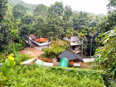 Ponmudi Valley Resort