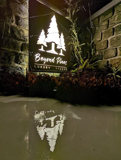 Beyond Pines