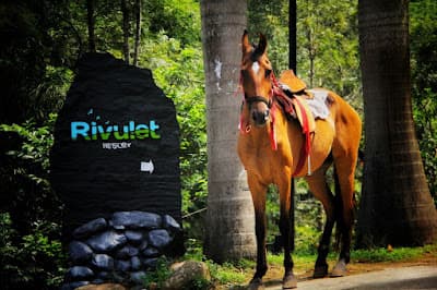 Rivulet Resort