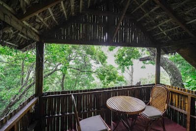 Tea Valley Resort
