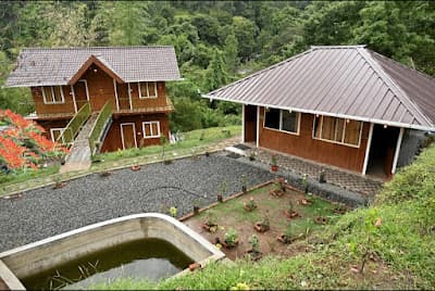 Don's River Valley Jungle Resort