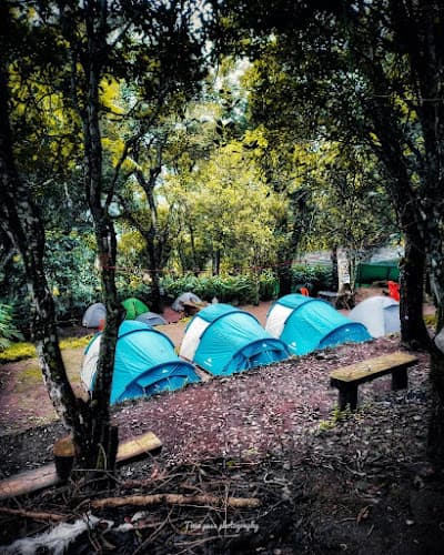 Tent Stay in Munnar