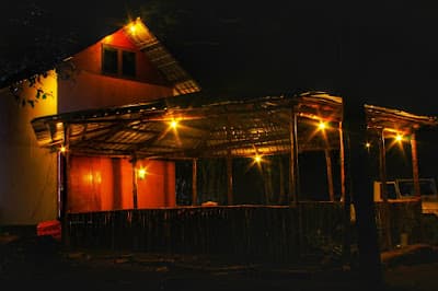 Camp Tea Forest