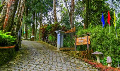 Forest Haven Resort
