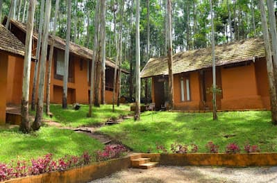 Sahari Mariental Jungle Resort