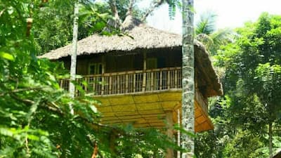 Kalidasa Tree House and villa, Wayanad