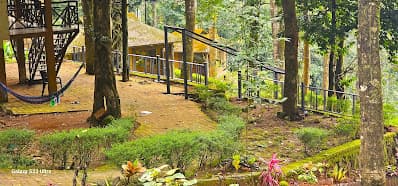 Vythiri Wild Resort, Wayanad resort