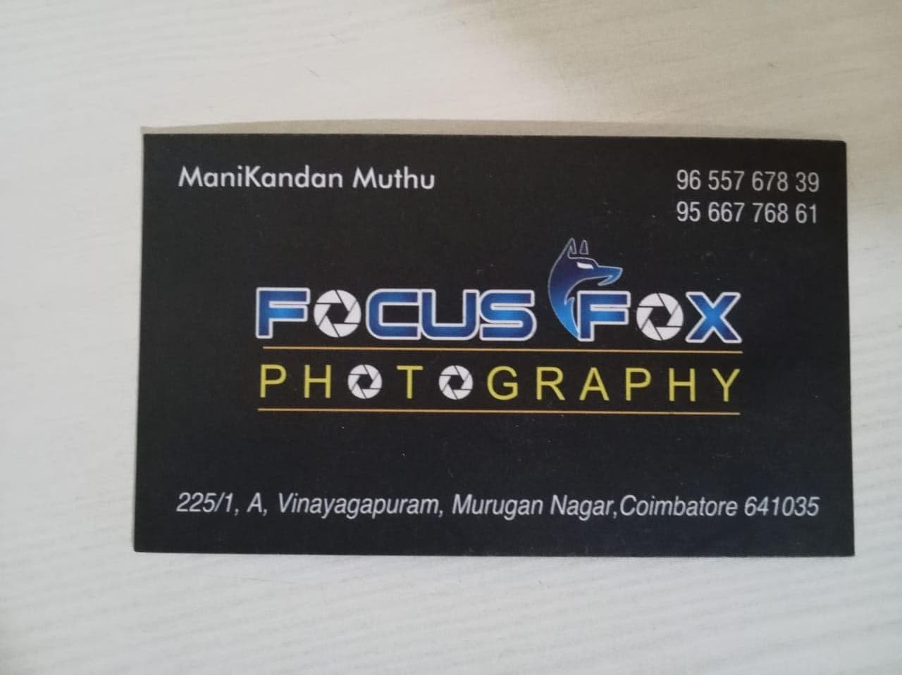 Focus Fox