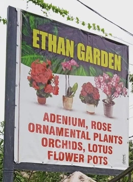 Ethan Garden