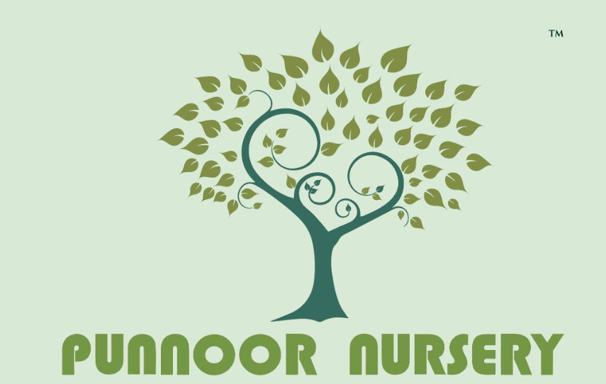 Punnoor Nursery
