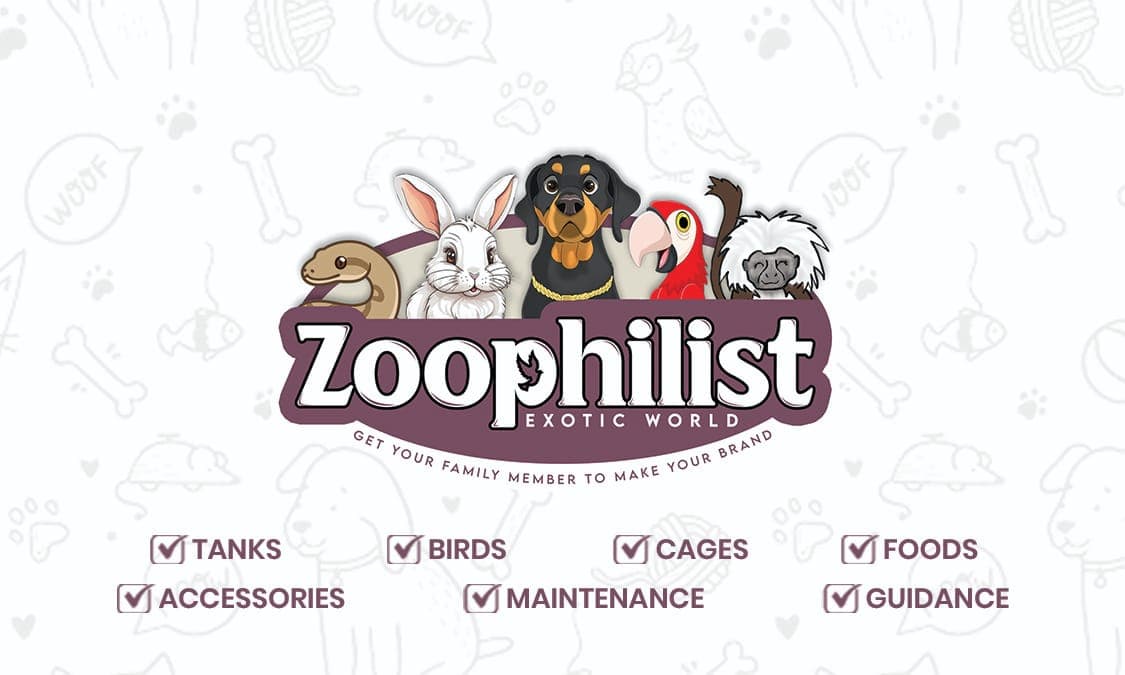 Zoophilist Exotic World