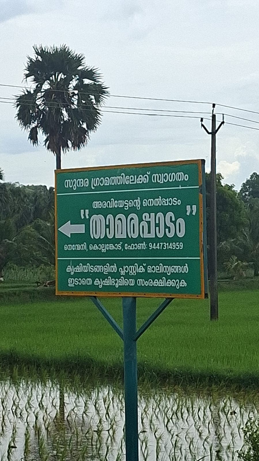 Thamarapadam View Point